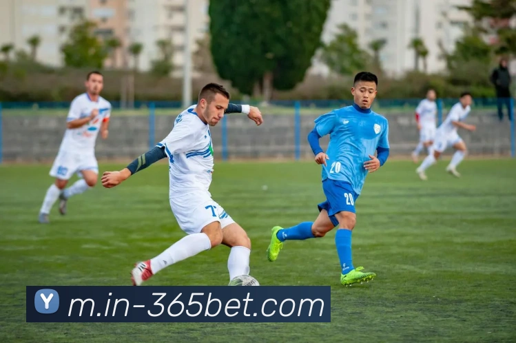 多媒体互动体验