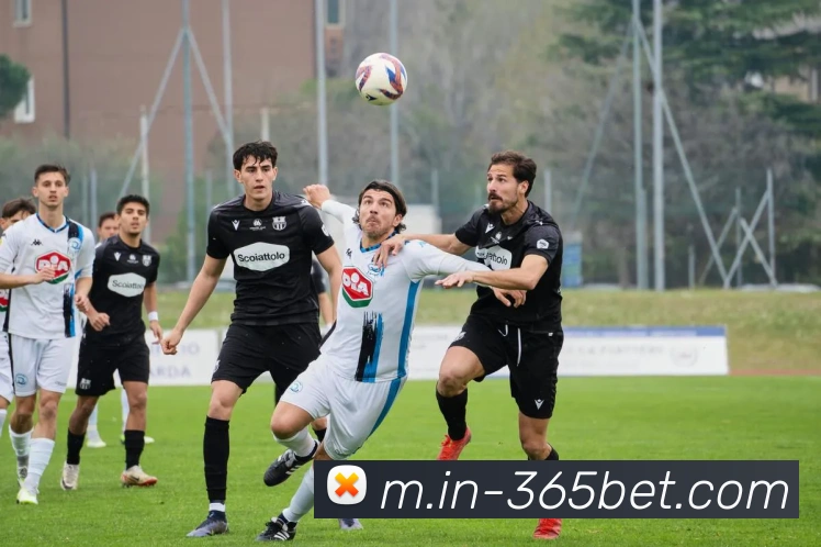 365betAPP 体育赛事宣传图